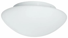 Searchlight 1910-23 - Plafoniera da bagno FLUSH 1xE27/60W/230V IP44