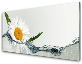Quadro acrilico Margherita in acqua Pianta 100x50 cm