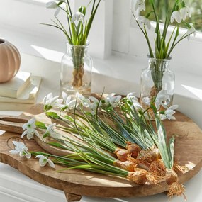 LOBERON Set di 12 fiori decorativi Willmare