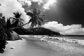 Carta da parati – Spiaggia sull'isola di Seychelles in bianco e nero