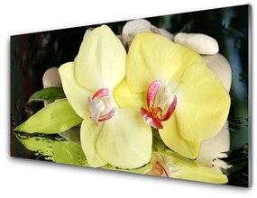 Quadro acrilico Petali di fiori di un'orchidea 100x50 cm
