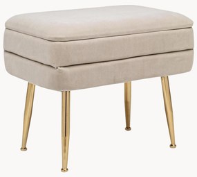 Panca in velluto con vano contenitore Pavlina