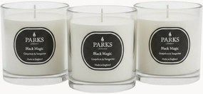 Set di 3 candele profumate fatte a mano Black Magic (pompelmo, mandarino & muschio bianco)