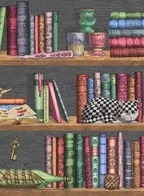 Cole & Son Carta da parati Libreria - Rich Multi - 114/13025