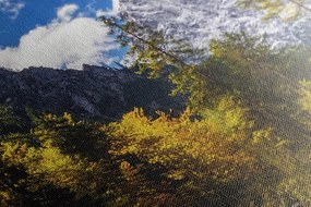 Stampa su tela – Paesaggio montano