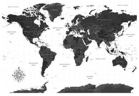 Carta da Parati Cartina del Mondo in Bianco e Nero
