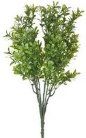 Set 8 Cespugli Bosso Buxus 38 cm