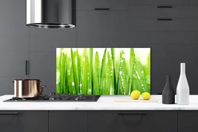 Pannello cucina paraschizzi Erba, piante, natura 100x50 cm