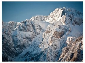 Fotomurale Inverno nelle Alpi