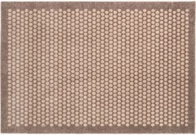 Zerbino Dot