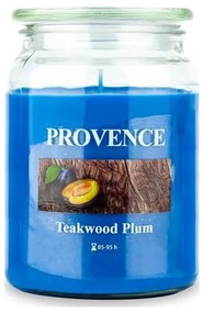 Candela profumata TEAKWOOD PLUM 510g 85-95 ore.