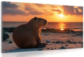 Stampa su tela – Capibara al tramonto