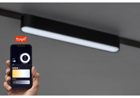 Rabalux 70123-LED Plafoniera dimmerabile per sistema a binario monofase LiTrack 12W/24V 22 cm