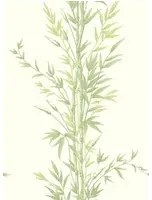 Tapete Bamboo von Cole & Son - Green