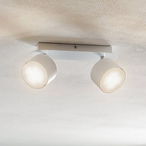 Eko-Light Faretto da soffitto Cloudy 2 luci bianco