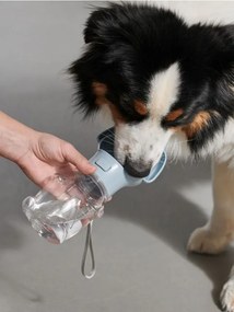 Sinsay - Bottiglia d'acqua per cani - blu pallido