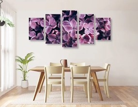 Quadri 5 pezzi – Fiori lilla