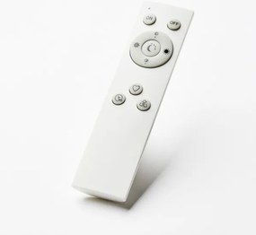 Brilliant - Plafoniera dimmerabile a LED SORELL LED/24W/230V nero + telecomando