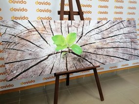 Quadro su tela – Nascita di una nuova vita