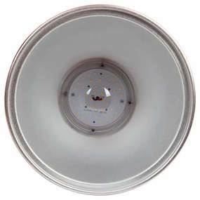 Campana LED a Sospensione 45W Banco Carni con driver Philips Colore Rosa Alimentare