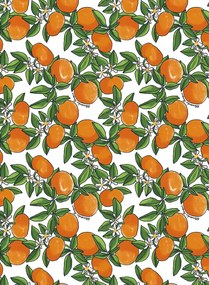 Jannelli & Volpi Carta da parati Tangerine - 25540