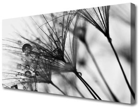 Quadro su tela Grafica di piante di astrazione 100x50 cm