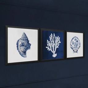 Dipinto 30x30 cm Sea Treasure – Styler