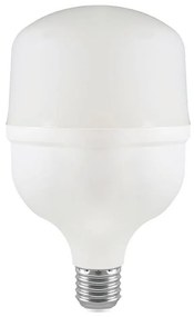 Lampadina LED T100 E27/30W/230V 4000K