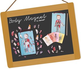 Bodymagnet - Lavagna magnetica - corpo umano