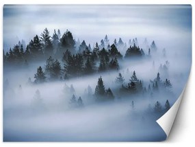 Carta Da Parati, Foresta nella nebbia