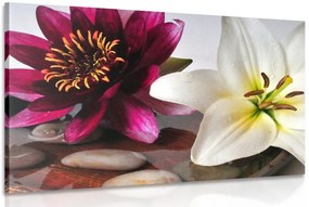 Stampa su tela – Fiori in ciotola con pietre Zen