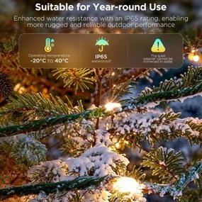 Govee - Catena natalizia a LED RGBICW per esterni 2700-6500K 20m Wi-Fi Matter IP66