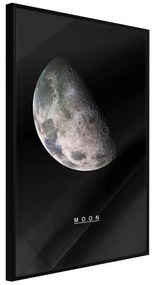 Poster  The Solar System: Moon  Cornice Quadri Cornice nera, Larghezza x Altezza Home decor 30x45