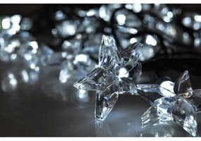 Solight 1V30-W - Catena di Natale LED 20xLED 6m bianco freddo