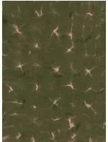 Coordonné Carta da parati Kanoko - Moss