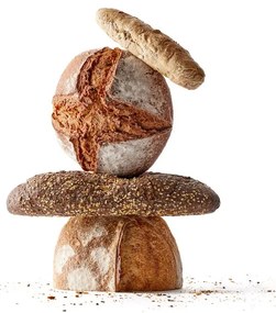 Set per lievito madre con spatola 2 pz 700 ml – Lékué