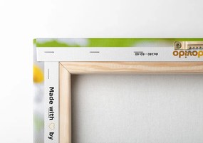 Quadro su tela – Prato primaverile pieno di fiori