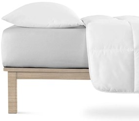 Lenzuolo elasticizzato in jersey grigio chiaro 200x220 cm Boxspring - Andrea Simone