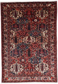 Bakhtiar Tappeto persiano 220 x 150 (Iran) Annodato A Mano