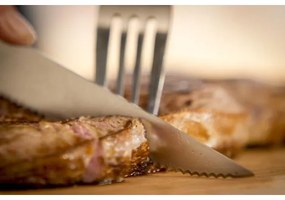 Tefal - Set da 4 coltelli da bistecca in acciaio inox ICE FORCE 11 cm cromo/nero