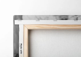 Stampa su tela – Rose vintage eleganti in bianco e nero