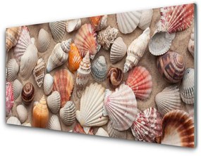 Quadro vetro Arte della sabbia con i molluschi 100x50 cm
