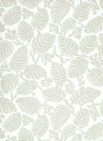Little Greene Carta da parati Beech Nut - Warm Grey