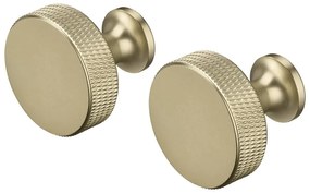 Set di ganci da parete color ottone in metallo 2 pz Rof – Blomus