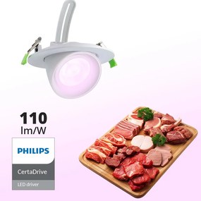 Faro LED da Incasso 44W Orientabile Rotondo, Foro Ø160mm, Bianco, PHILIPS Certadrive - ROSA ALIMENTARE Colore Rosa Alimentare