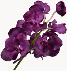 Set di 2 fiori artificiali Vanda