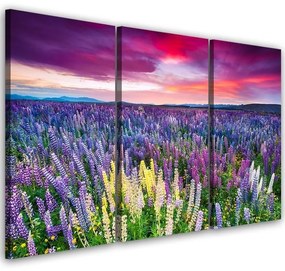 Quadro su tela 3 pezzi Campo di lavanda Natura  Dimensioni 60x40