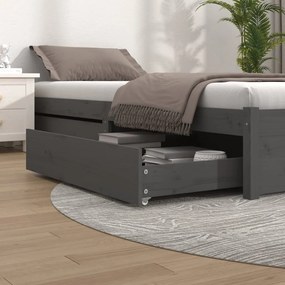 Cassetti Per Letto 2 Pz İn Legno Massello Di Pino Grigio /