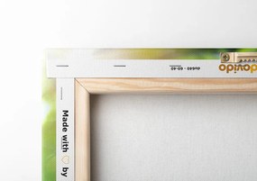 Quadro su tela – Armonia nel giardino Zen