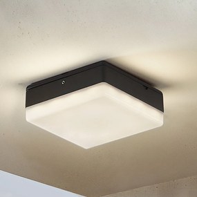 Lucande Plafoniera LED Thilo, 16 cm, antracite, sensore, IP54